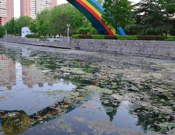 城鎮黑臭水體治理