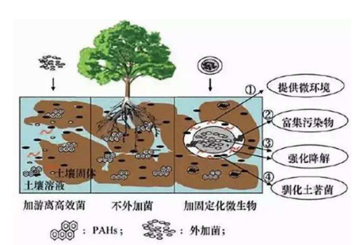 重金屬治理及土壤修復 重金屬治理及土壤修復