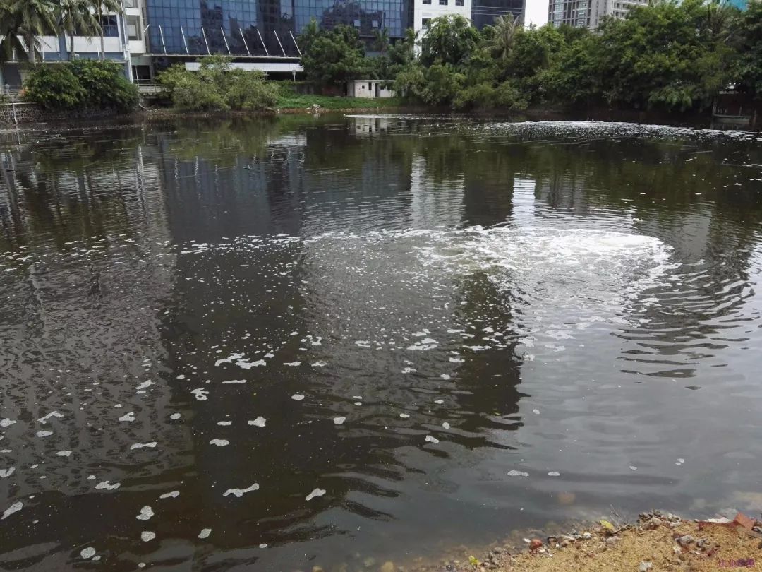城鎮黑臭水體治理 